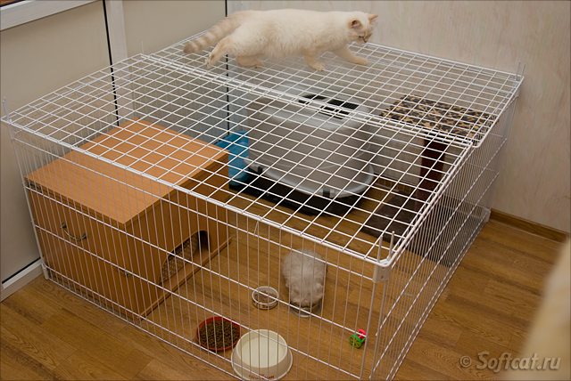 Модульные разборные вольеры для кошек и маленьких собак | OctCat